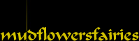 mudflowersfairies